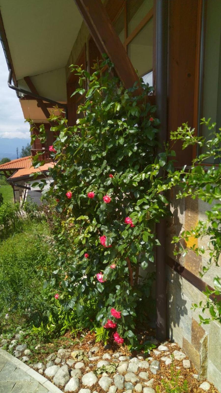 Panorama Resort Residence Bansko Exterior photo